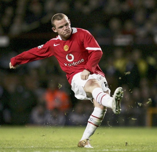 50吨植物油精炼设备