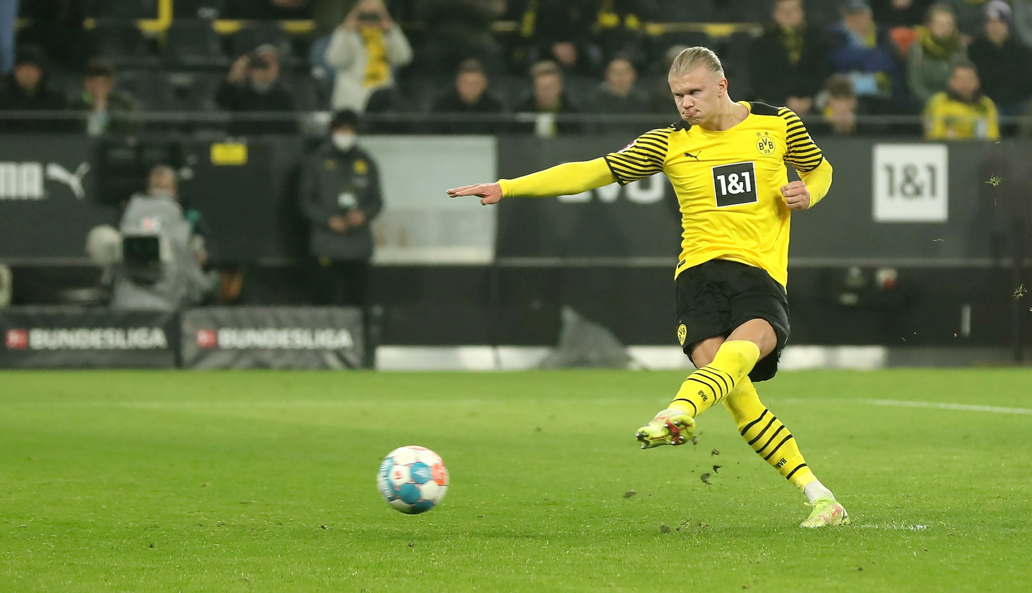 50吨植物油精炼设备